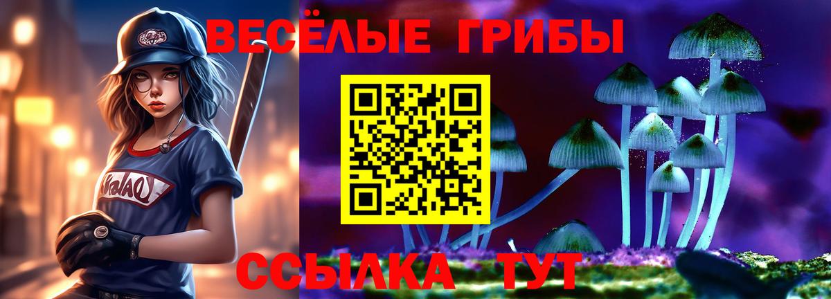 Ступино  Галлюциногенные грибы MAGIC MUSHROOMS  Псилоцибиновые грибы мицелий  Вход с VPN 